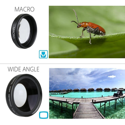 wide angle Maldives and macro lady bug photo